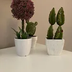 شقة Casa- Corso Umberto