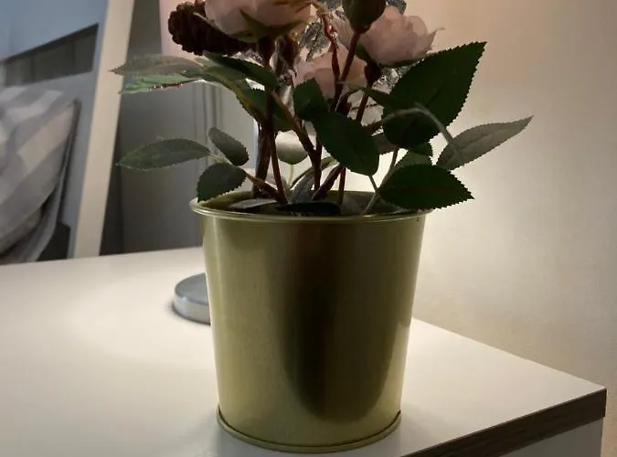 Appartement Casa- Corso Umberto *